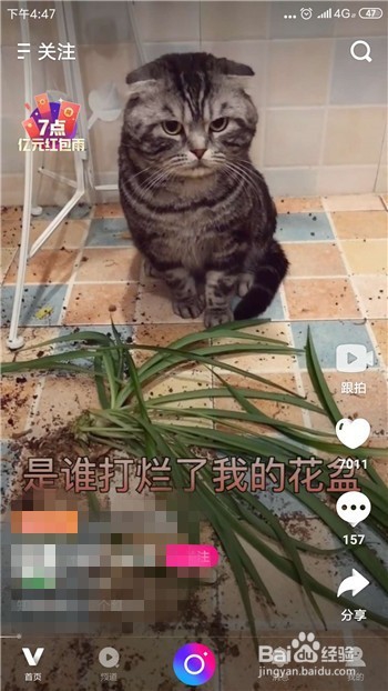 腾讯微视怎么关闭自动播放下一个视频