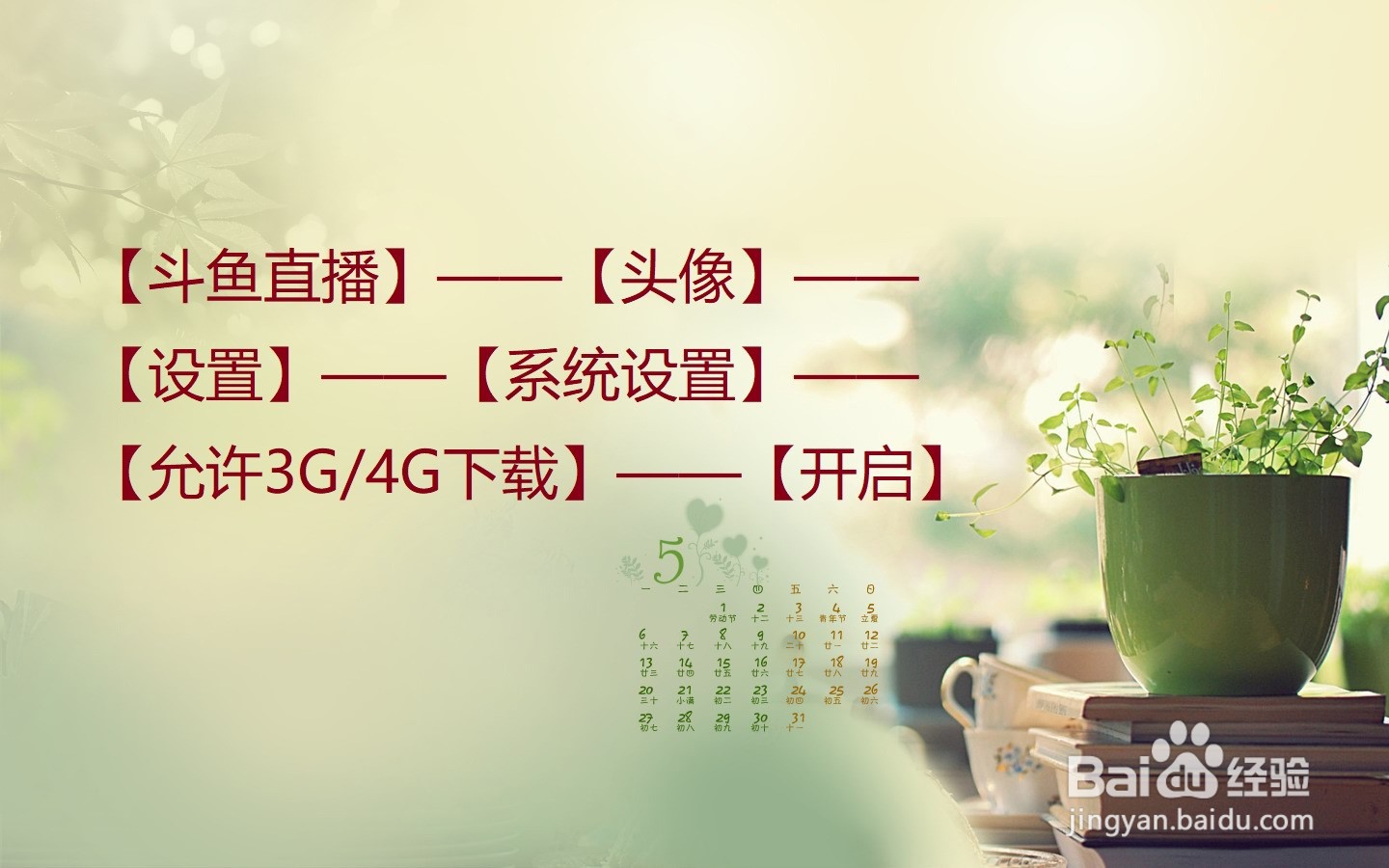 斗鱼直播怎么设置允许3G/4G下载?