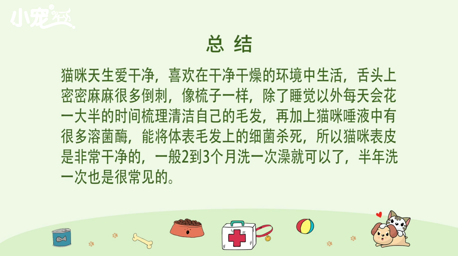 猫咪多久洗一次澡