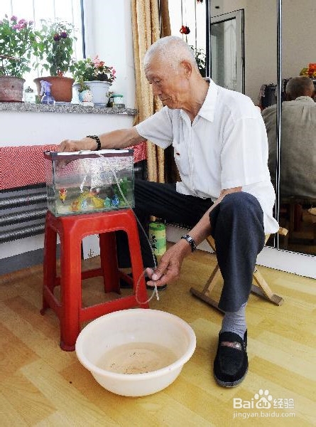 热带鱼怎么换水