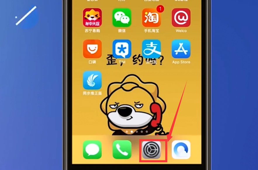 如何找到苹果设置信任的功能