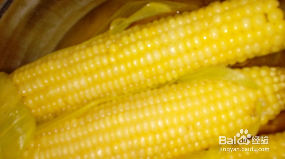 垂钓大型鱼使用的饵料