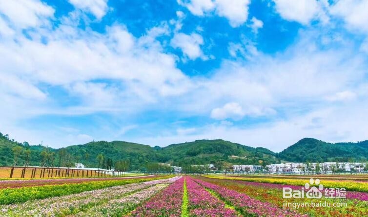 走进山里江南 领略夏日不一样的味道