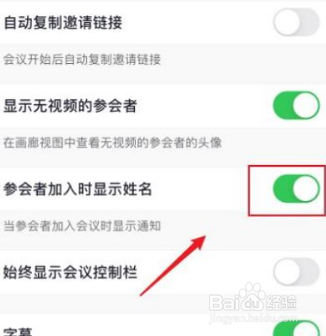 Zoom如何关闭名字显示