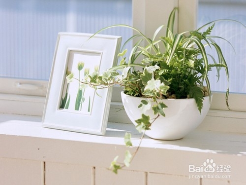 心肝脾肺肾怕什么你知道吗