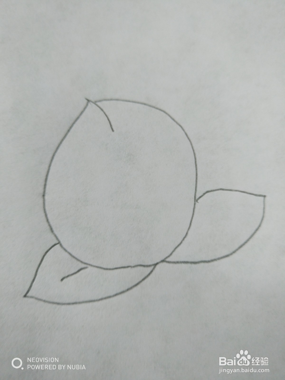 好吃的桃子怎么画