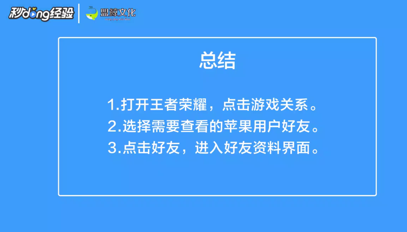 王者荣耀怎么查看苹果用户的资料