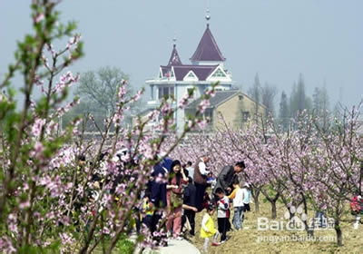 嘉兴自助游,去体验嘉兴人的生活