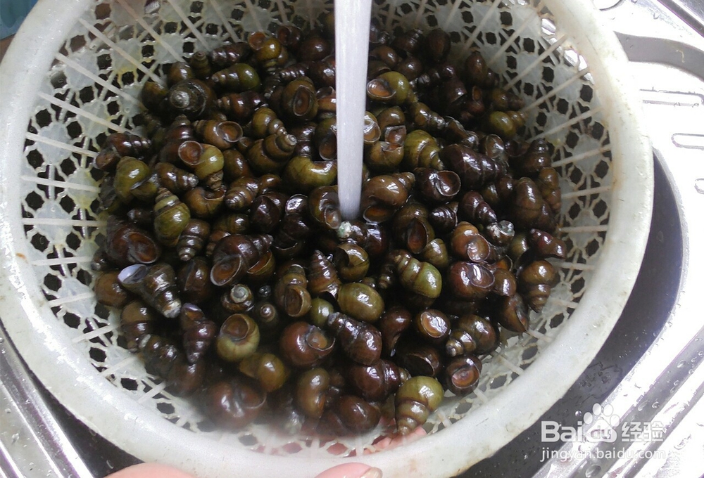 螺蛳表面清洗的方法