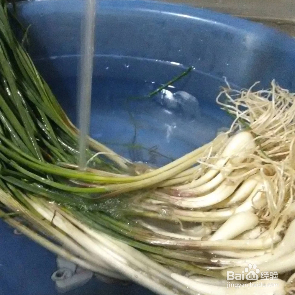 妈妈的味道-茭头炒腊肉