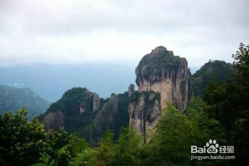 永嘉梅岙梅花旅游攻略