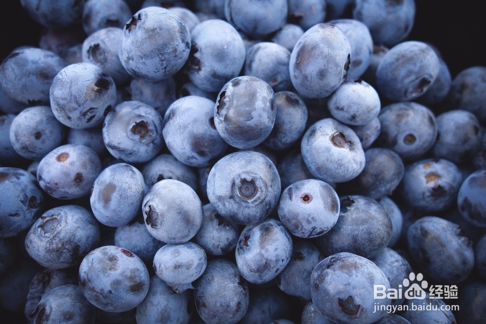 怎样挑选好吃的蓝莓?