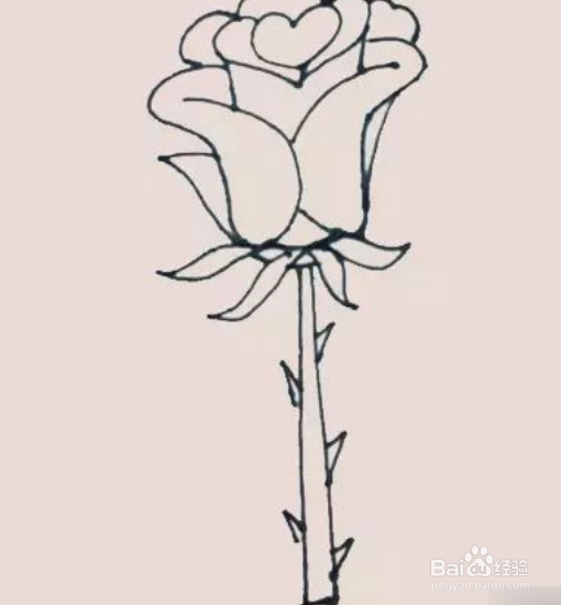 玫瑰花简笔画的画法