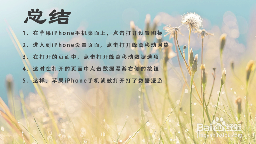 苹果iPhone手机怎样打开蜂窝移动数据漫游？