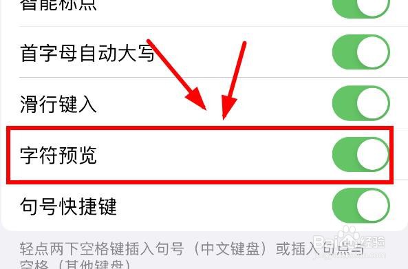 iPhone14怎么打开手机键盘中的字符预览功能