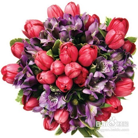 春夏季婚礼常用鲜花花语有哪些？