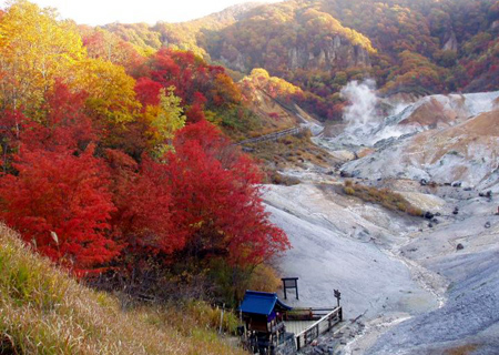 北海道秋季之旅