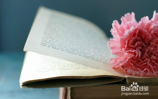 青春的那些个风风雨雨