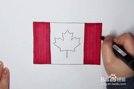 加拿大旗简笔画图片图片