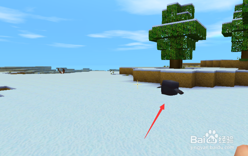 迷你世界怎样繁殖企鹅