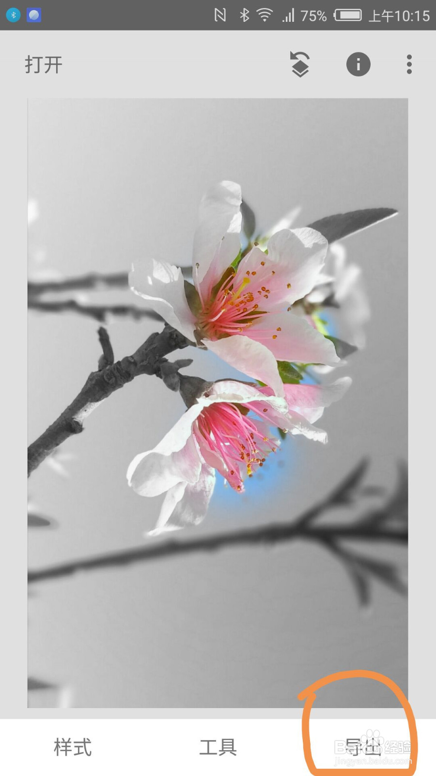 如何用snapseed进行图片的局部色彩保留