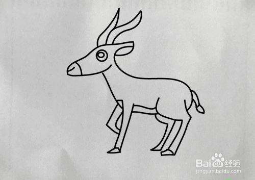 如何画羚羊简笔画