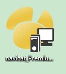 Navicat Premium 安装步骤讲解