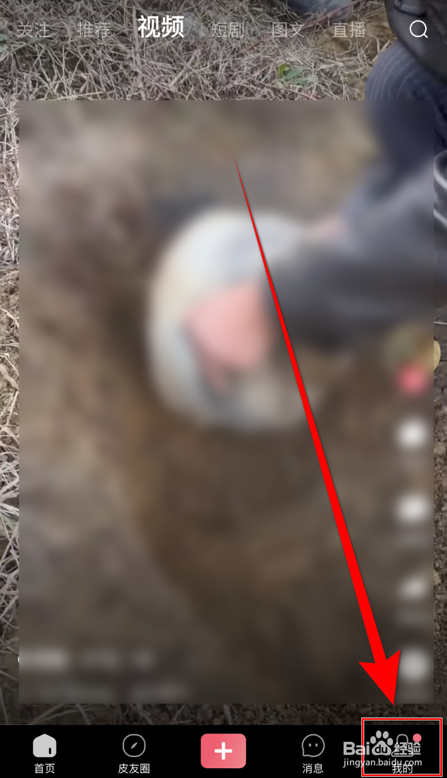 皮皮虾如何设置允许皮皮虾使用个性化推荐关闭