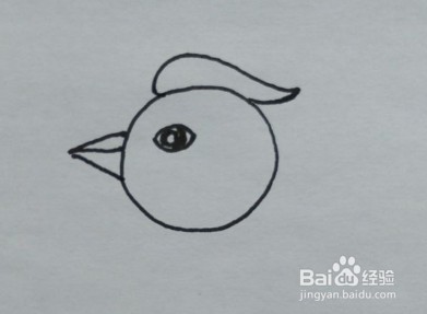 幼儿简笔画:如何一步一步画啄木鸟