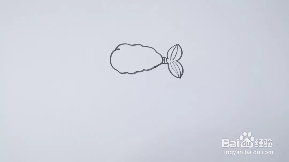 食物系列——七步教你绘画炸虾