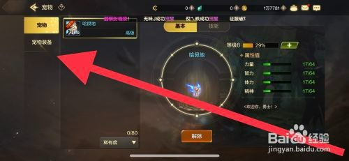 DNF手游宠物装备翡翠珠怎么操作