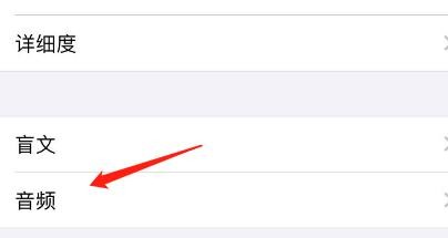 怎么设置iPhone旁白已聚焦在项目