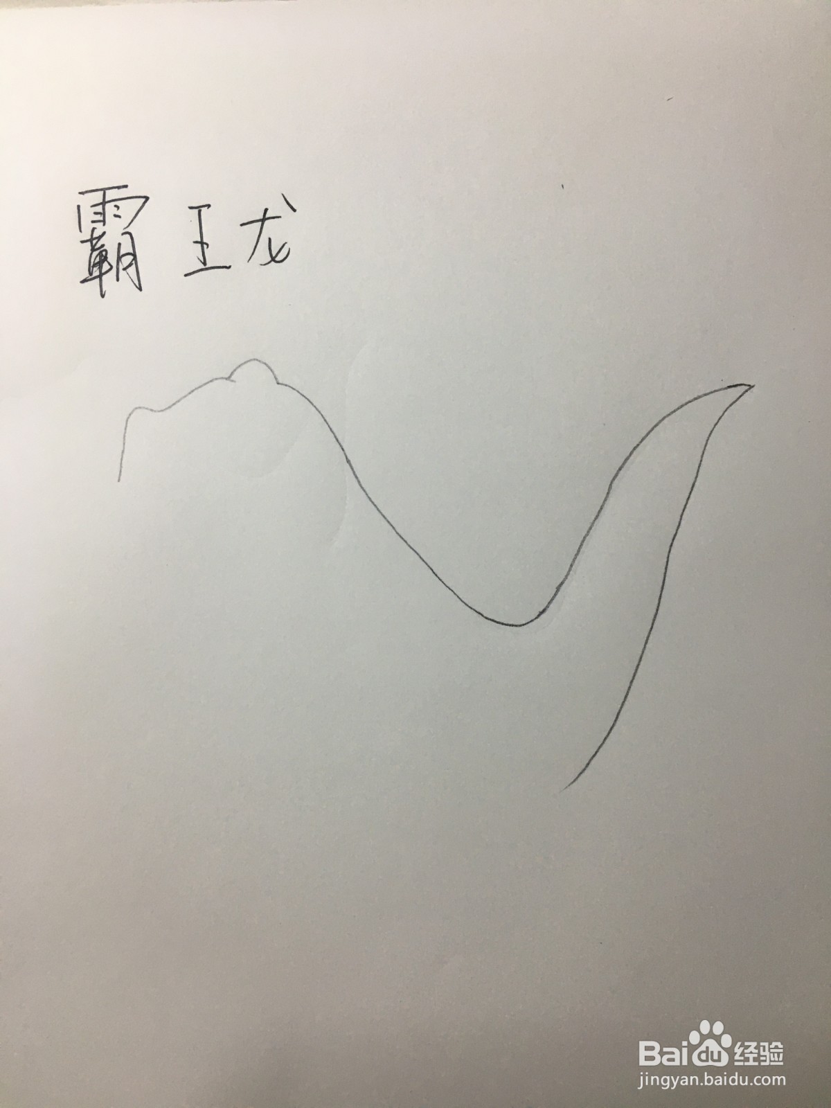 霸王龙简笔画怎么画