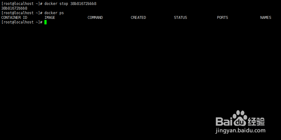 Docker Hello World