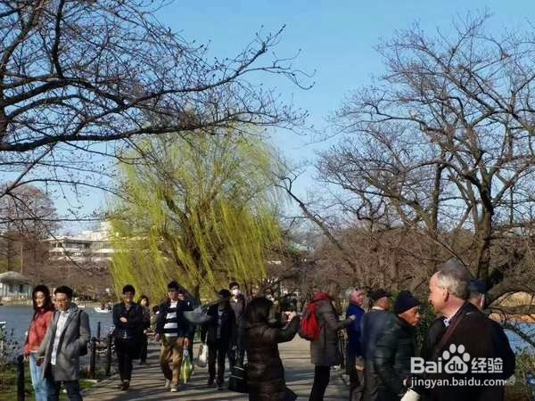 去日本发现他们真的自觉自律