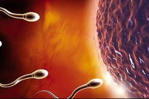 怎么正确区分少精症与弱精症