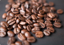 咖啡正确的冲泡方法