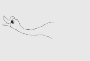 一字大雁怎么画