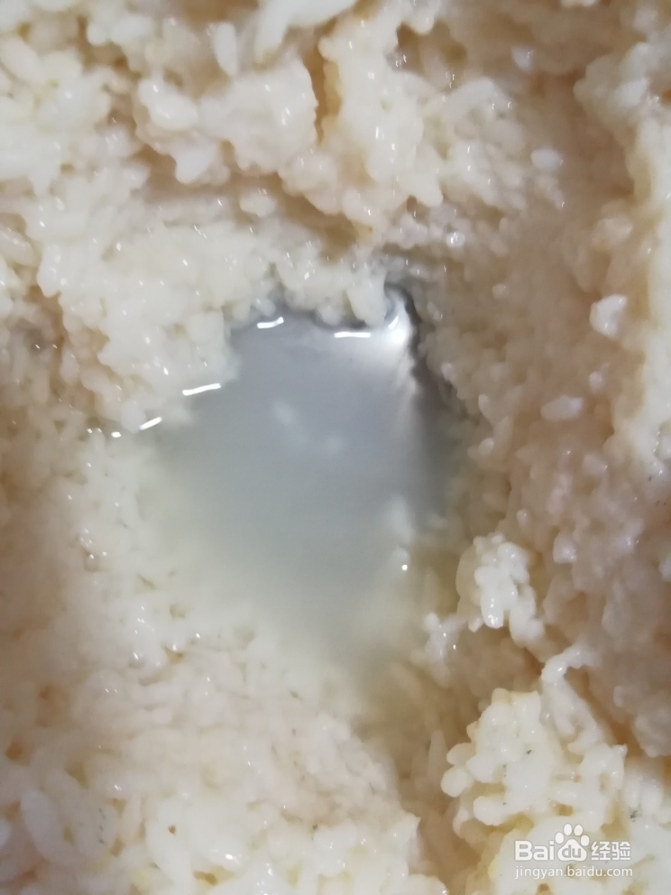 新手易做的醪糟