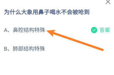 为什么大象用鼻子喝水不会被呛到?蚂蚁庄园6.13