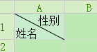 office之Excel使用小技巧：[1]单元格设置斜线