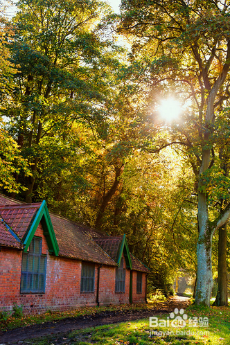 如果你总是忘不掉你的初恋该怎么办呢?