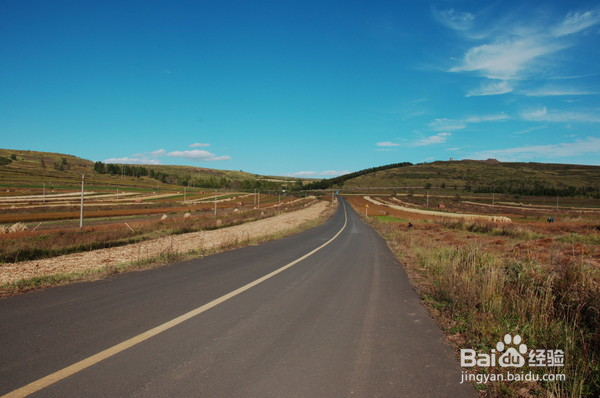 张家口草原天路自驾游攻略