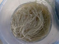 鸡蛋炒粉条的做法