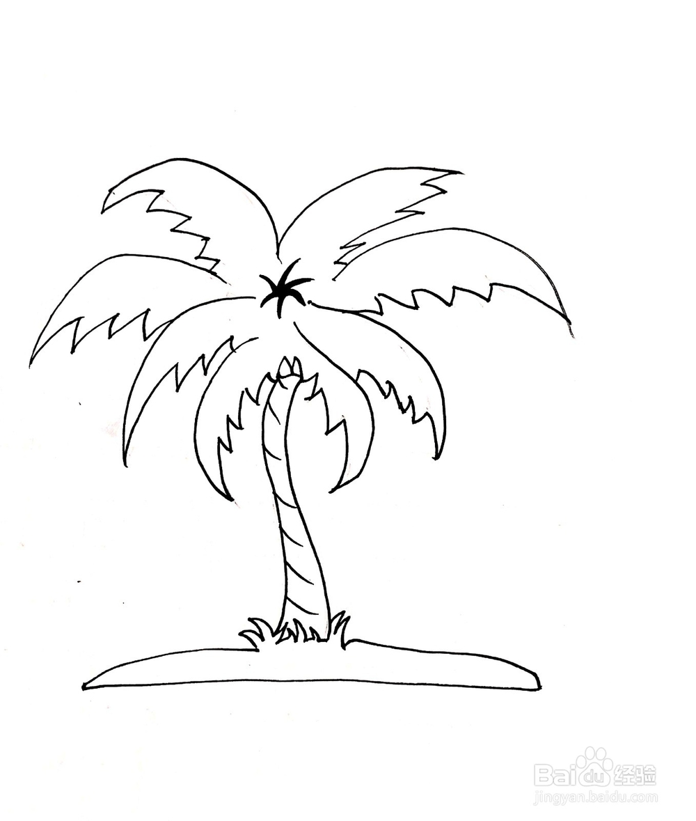 棕榈树果实简笔画图片