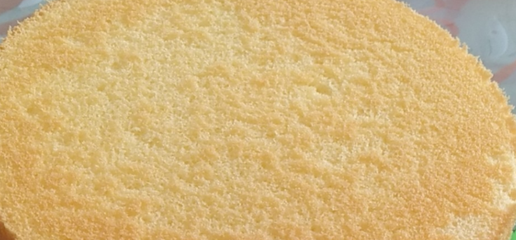 想问一下蛋糕胚是什么