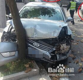 车撞树上怎么走保险