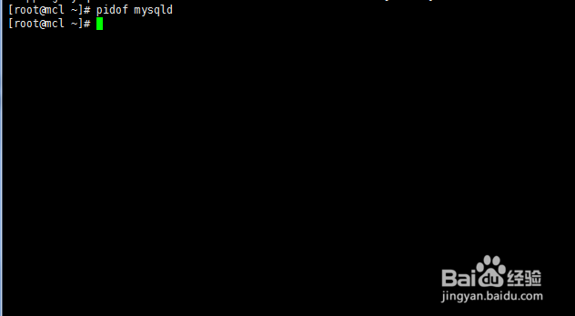 linux如何查看mysql是否启动