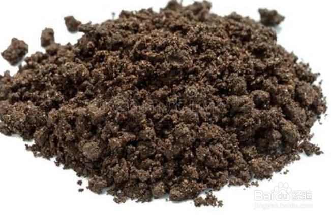 大岩桐花怎么养