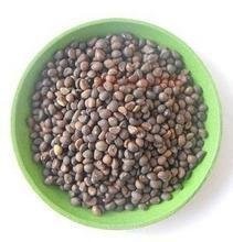 如何种空心菜？农村法！